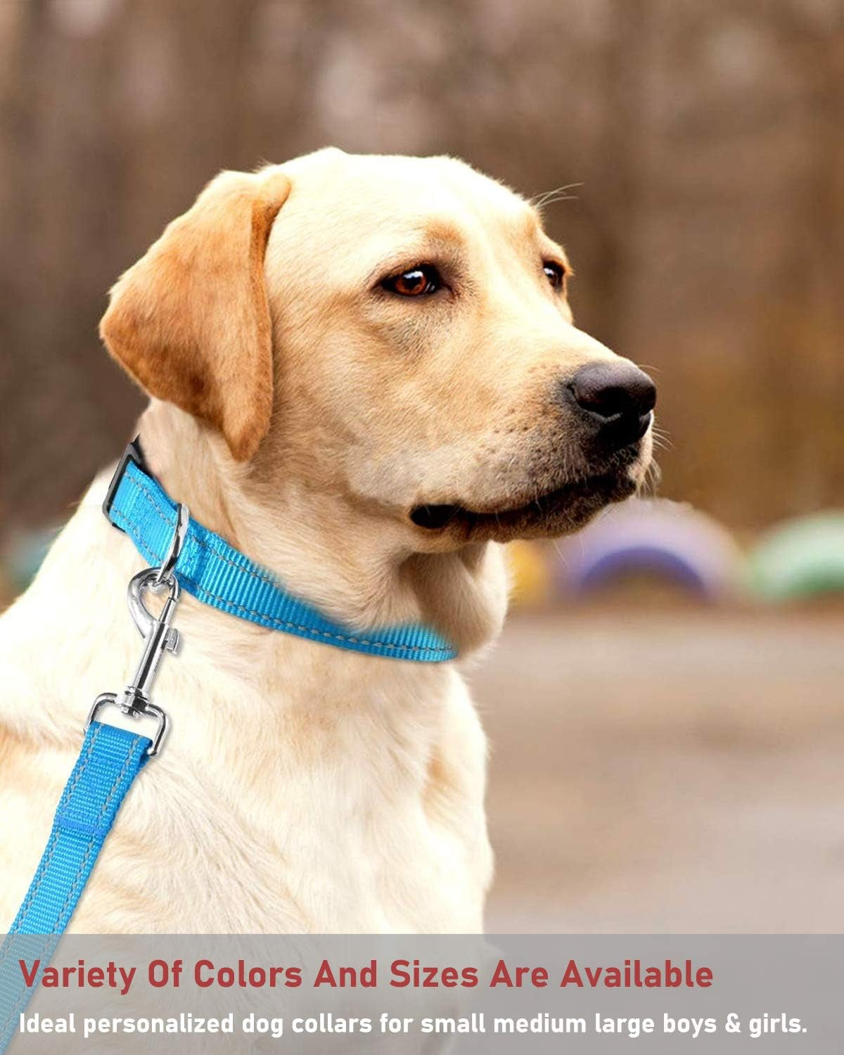 Reflective Dog Collar with Buckle Adjustable Safety Nylon Collars