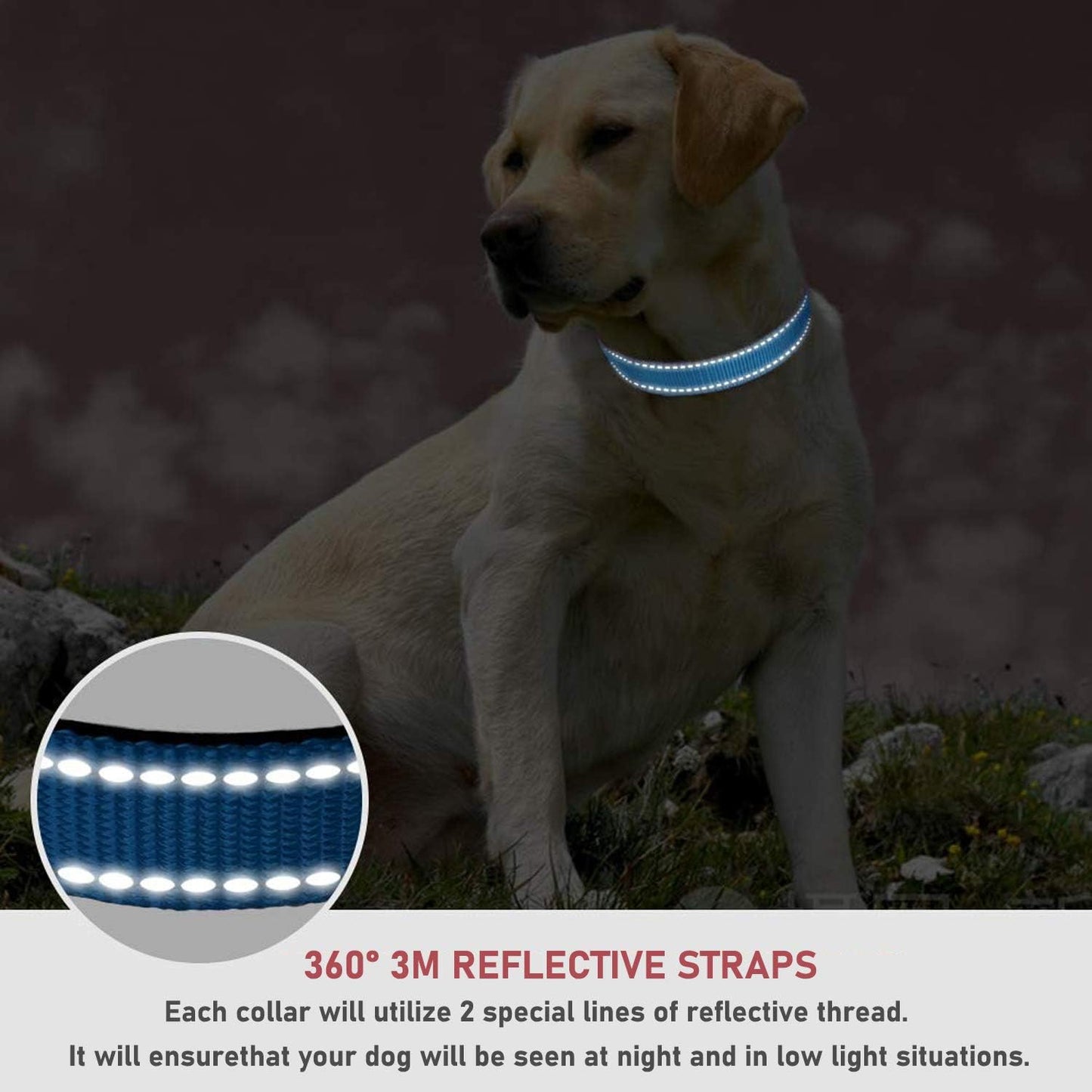 Reflective Dog Collar with Buckle Adjustable Safety Nylon Collars