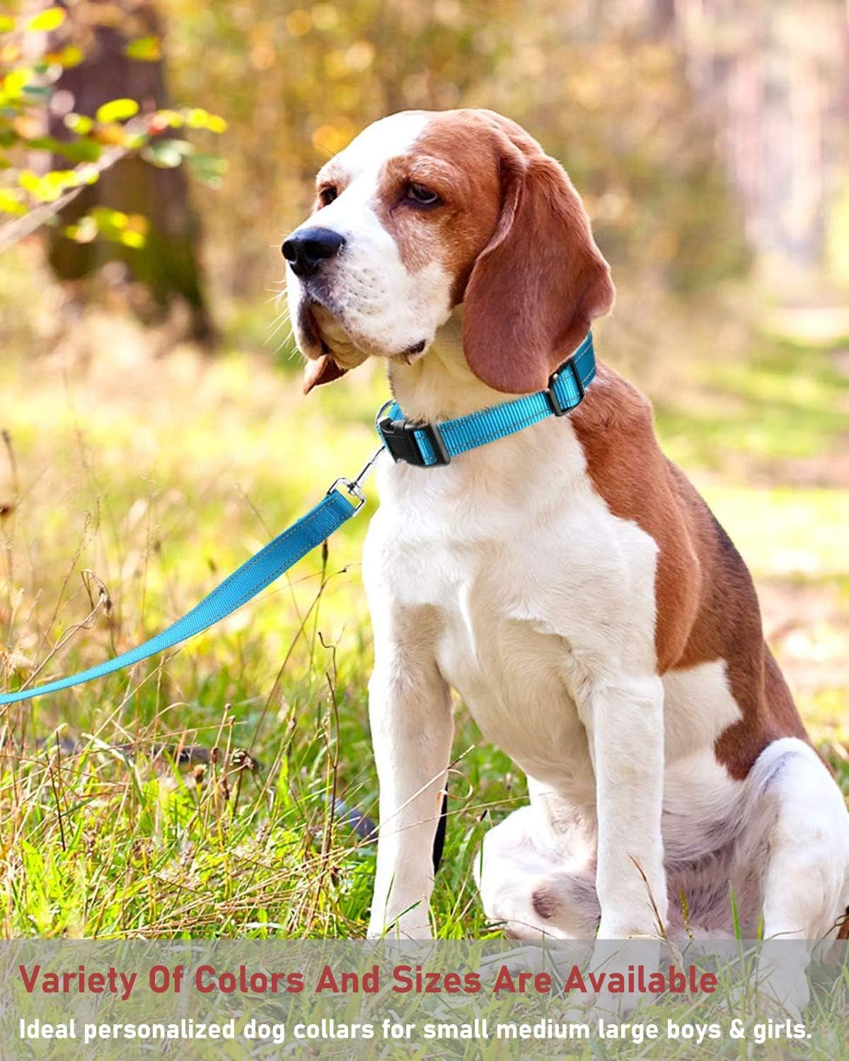 Reflective Dog Collar with Buckle Adjustable Safety Nylon Collars
