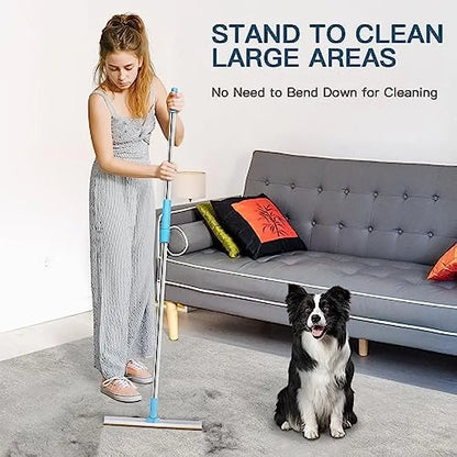 Carpet Rake Pet Hair Remover Set 